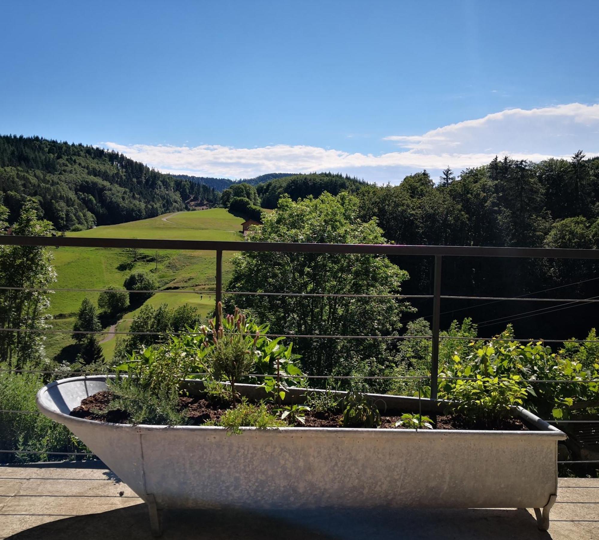 Ferienwohnung Belchenliebe Schonenberg Exterior foto